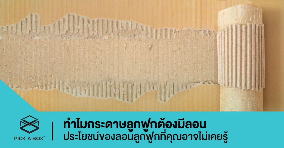 ทำไมกระดาษลูกฟูกต้องมีลอน ประโยชน์ของลอนลูกฟูกที่คุณอาจไม่เคยรู้