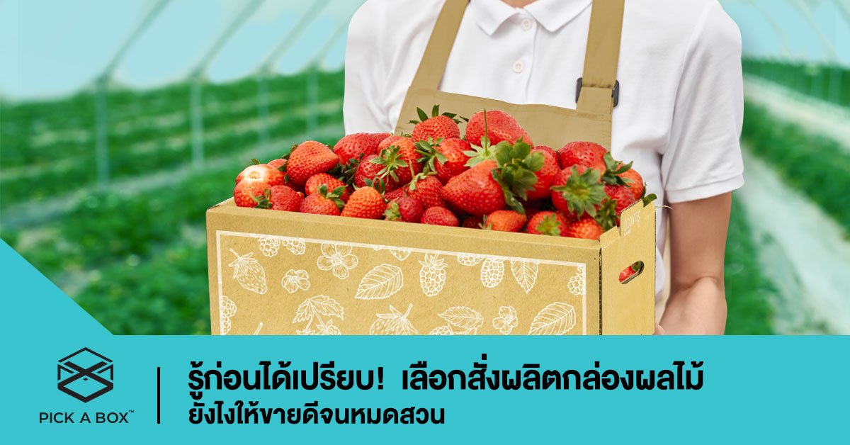 รู้ก่อนได้เปรียบ! เลือกสั่งผลิตกล่องผลไม้ยังไงให้ขายดีจนหมดสวน