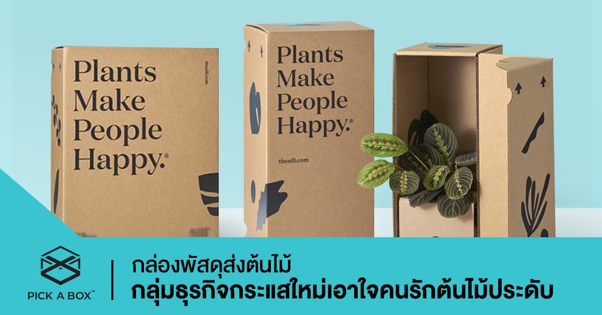 กล่องพัสดุส่งต้นไม้ กลุ่มธุรกิจกระแสใหม่เอาใจคนรักต้นไม้ประดับ